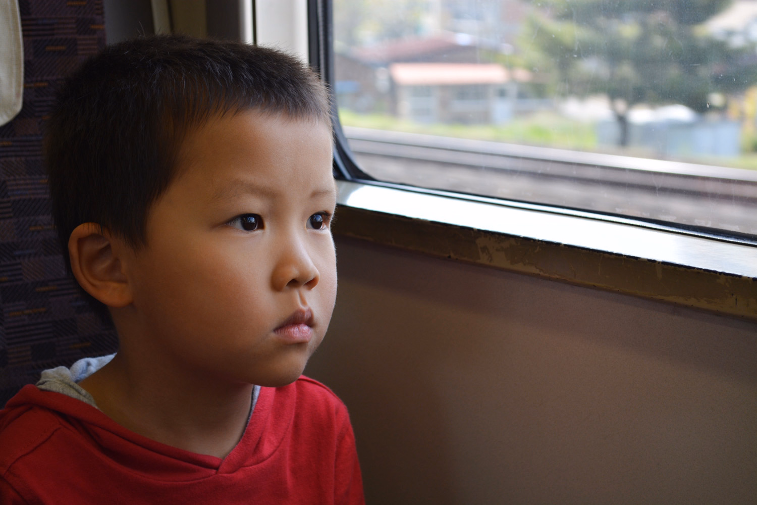blog